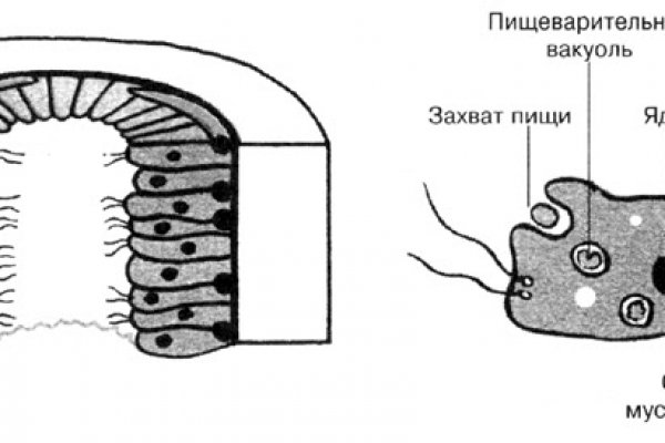 Кракен зеркало сегодня
