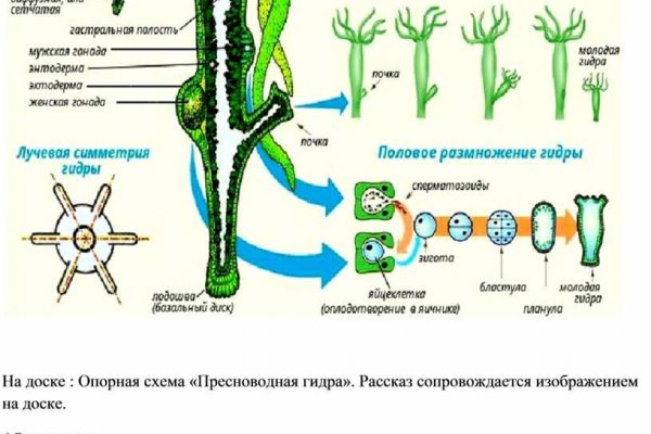 Кракен даркнет текст